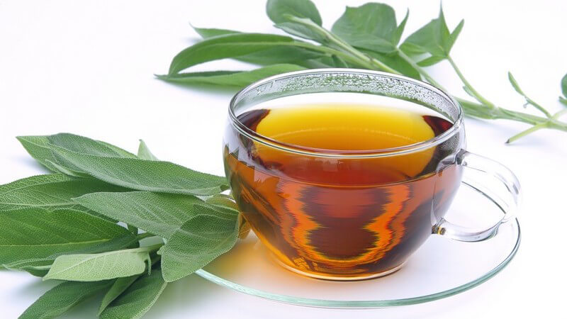 Salbeitee im Glas, daneben frischer Salbei auf weißem Hintergrund