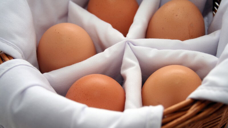 Körbchen mit 5 braunen Eiern