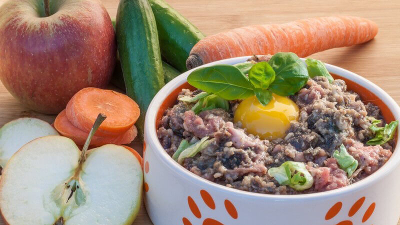 Futternapf mit Pfotenaufdruck, darin Fleisch und ein rohes Ei, umgeben von Äpfeln, Gurken und Möhre