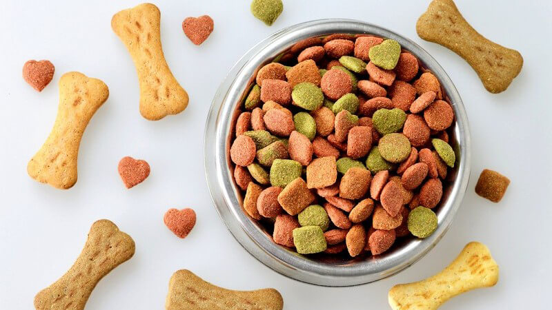 Silberner Fressnapf mit Trockenfutter, umgeben von knochenförmigen Keksen für Hunde