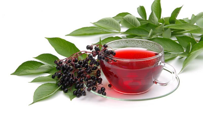 Holundertee im Glas, daneben Holunderblüten und Blätter auf weißem Hintergrund