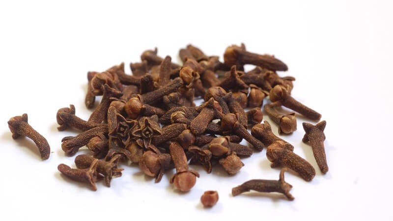 Frische Nelken auf weißem Hintergrund