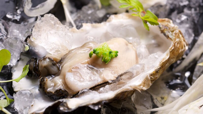 Nahaufnahme einer geöffneten Auster, garniert mit Grünzeug