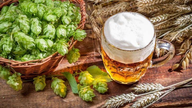 Bierbrauen: Frisch gezapftes Bier im Bierkrug, daneben Malz und Hopfen