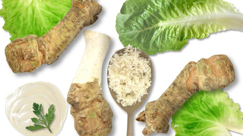 Nahaufnahme Meerrettich am Stück und gerieben neben Salatblättern
