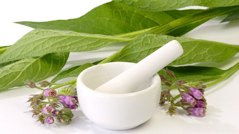 Weißer Mörser ungeben von frischen Beinwellblättern, weißer Hintergrund