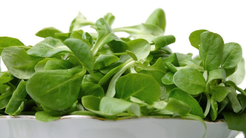 Frischer Feldsalat in weißer Schüssel