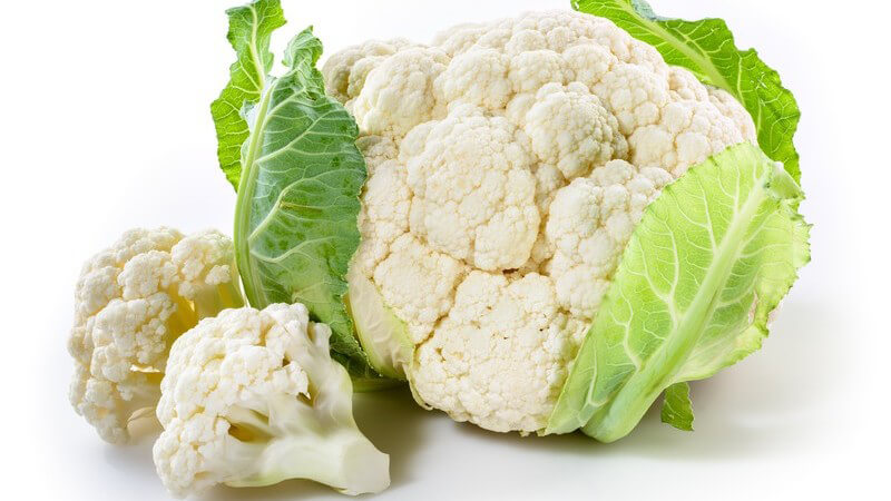 Frischer Blumenkohl und zwei kleine Blumenkohlröschen vor weißem Hintergrund