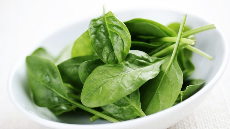 Junger Blattspinat in weißer Schale