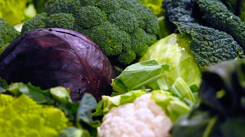 Auswahl an verschiedenem Kohl: Rotkohl, Blumenkohl, Brokkoli