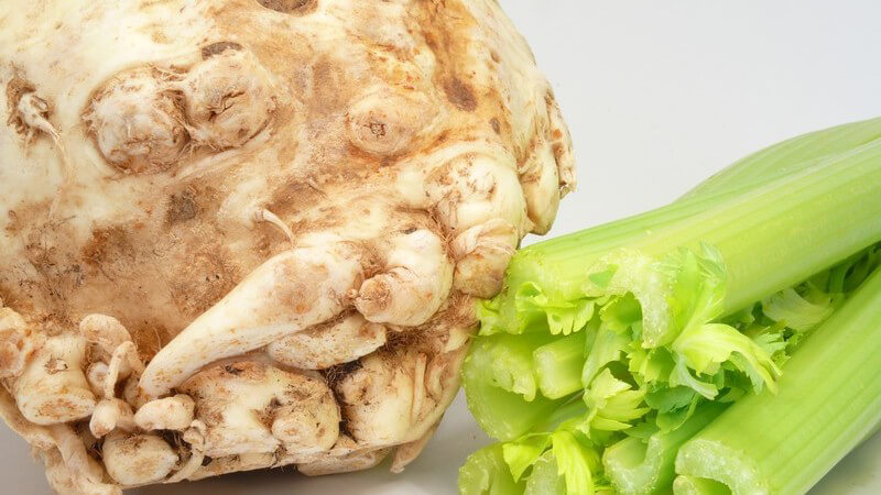 Nahaufnahme Sellerie auf weißem Hintergrund