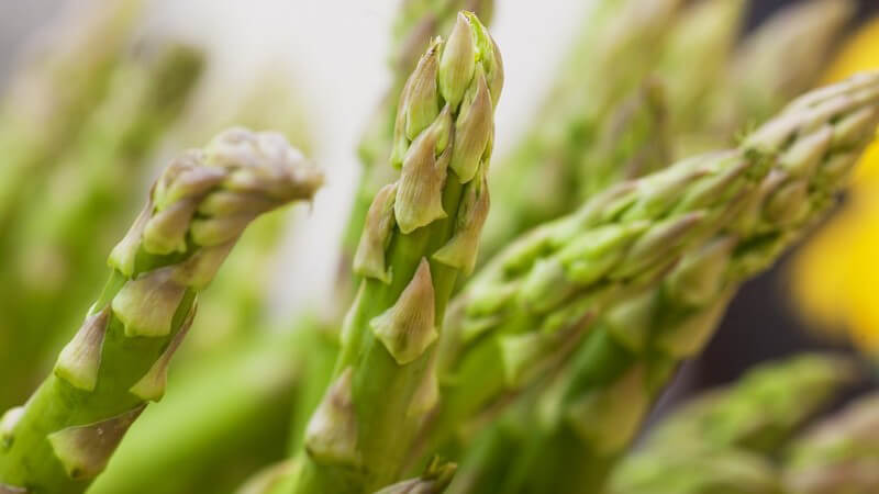 Nahaufnahme grüne Spargelspitzen