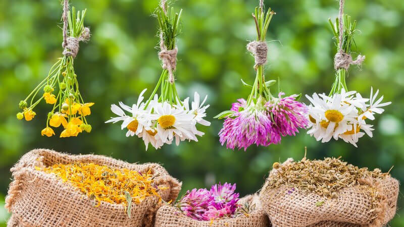 Vier Bündel mit Heilpflanzen hängen über kleinen Jutesäcken mit Blüten