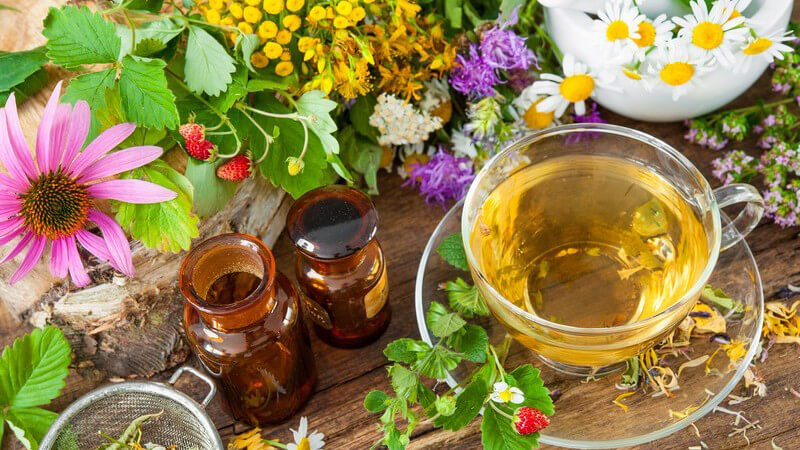 Glastasse mit gelbem Kräutertee, umgeben von bunten Wildkräutern