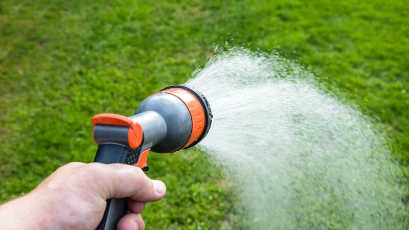 Bewässerung des Rasens mit dem Gartenschlauch/Gartenbrause