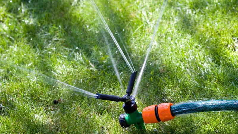 Rasensprenger bewässert Rasen