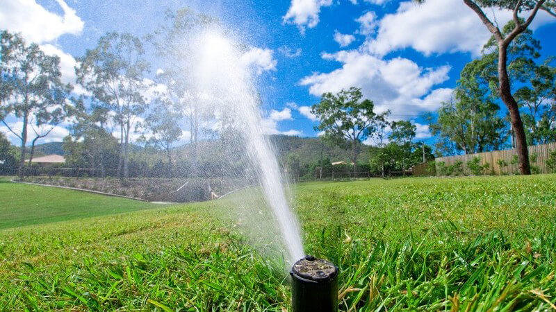 Wiese wird mit Sprenkleranlage bewässert