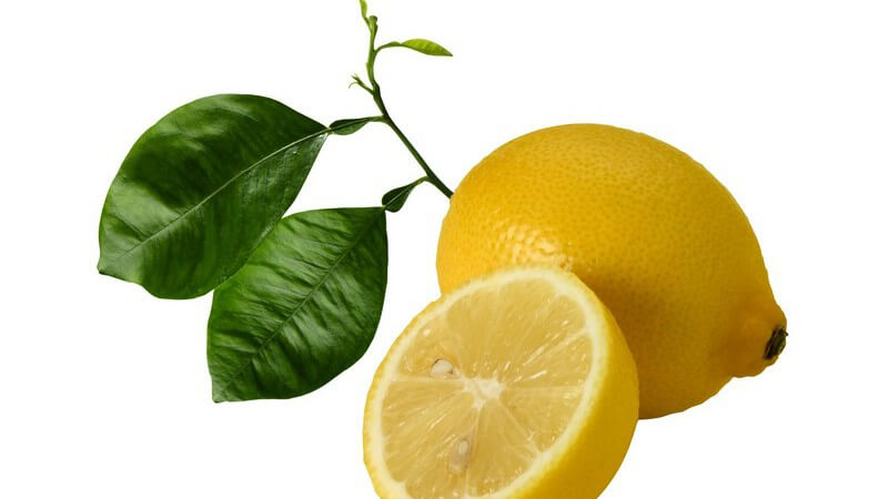 Eineinhalb frische Zitronen mit zwei grünen Blättern auf weißem Hintergrund