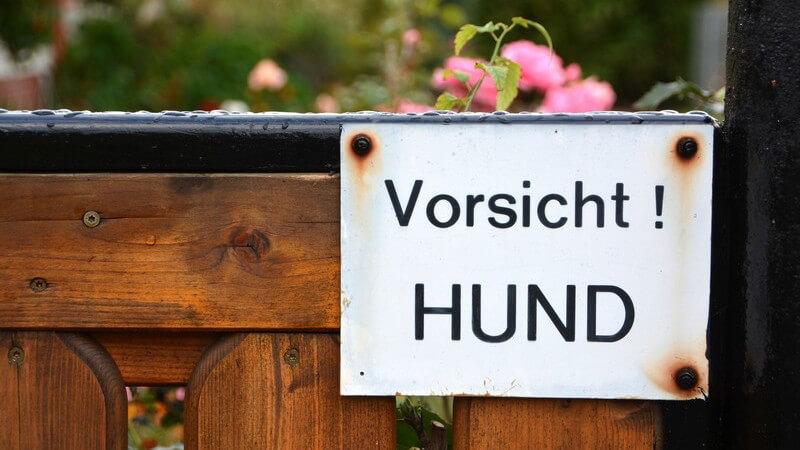 Warnschild mit der Aufschrift "Vorsicht! HUND" an einem braunen Törchen