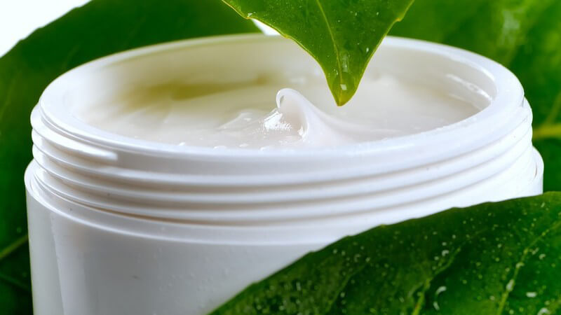 Kosmetikcreme in Döschen, umgeben von grünen Blättern