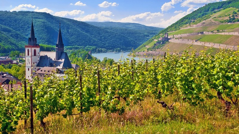 Blick auf Bingen am Rhein, Weinberge und Basilika St. Martin, im Hintergrund Binger Mäuseturm
