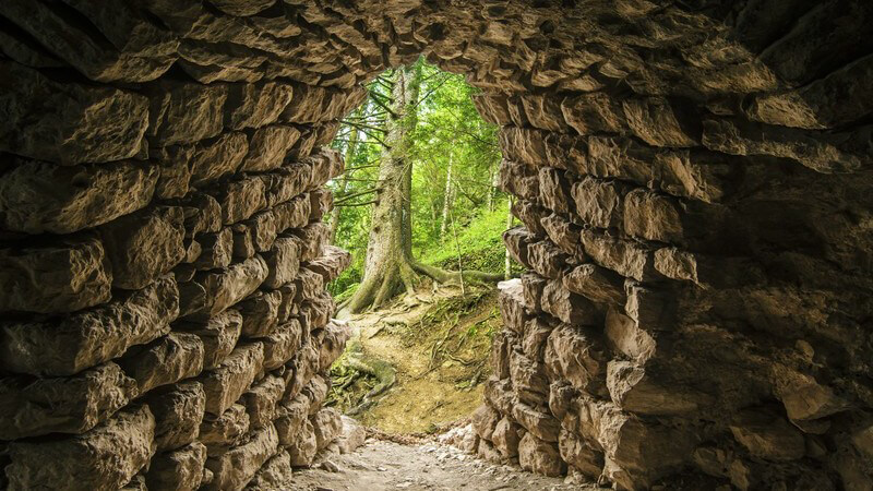 Blick aus einem alten Tunnelausgang in einen Wald