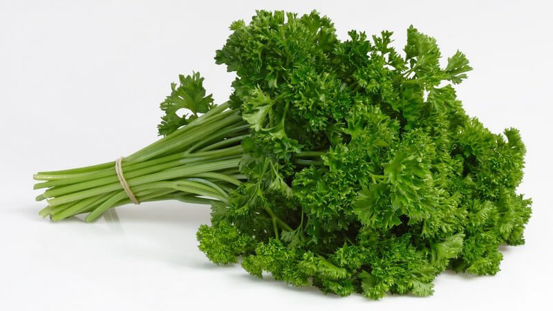 Ein frischer Petersilienbund