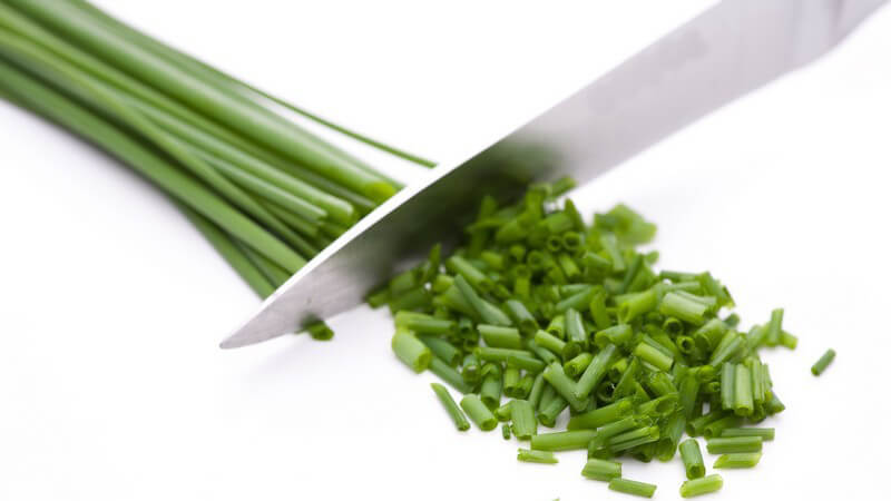 Nahaufnahme Schnittlauch wird geschnitten, weißer Hintergrund