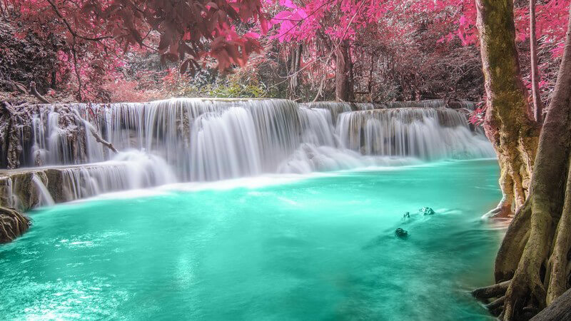 Deep Forest Wasserfall in Kanchanaburi, Thailand - türkises Wasser und pinke Blätter an den Bäumen