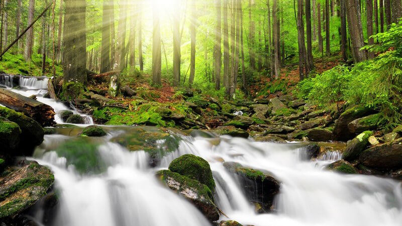 Wasserfall im Nationalpark Sumava, Böhmerwald in Tschechien, Naturschutzgebiet