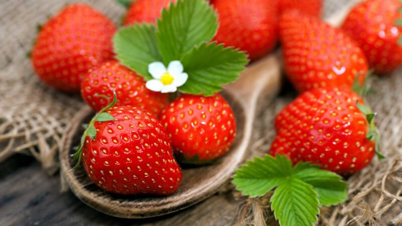 Frische Erdbeeren mit Erdbeerblättern auf einem Holzlöffel