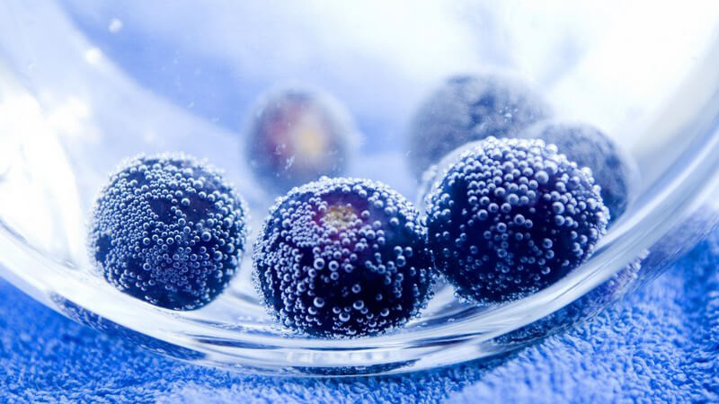 Nahaufnahme Heidelbeeren in Wasserschale auf blauem Handtuch