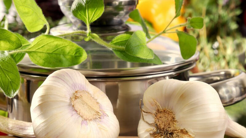 Zwei Knoblauchzehen vor Edelstahl Kochtopf