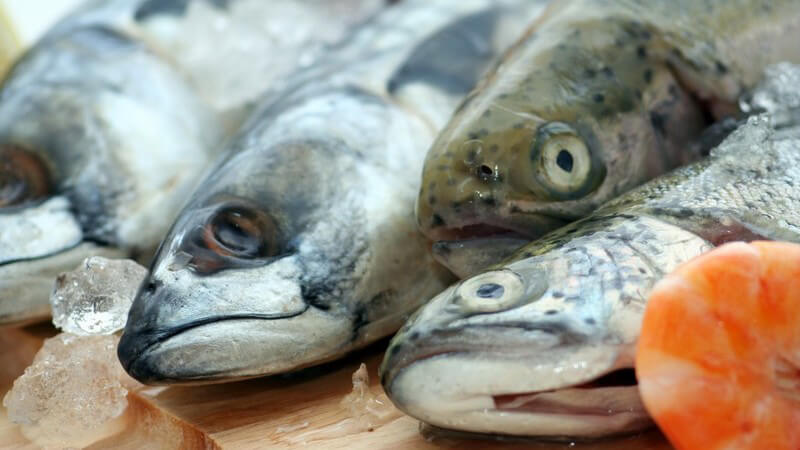 Frischer Fisch und Eis auf einem Holzbrettchen
