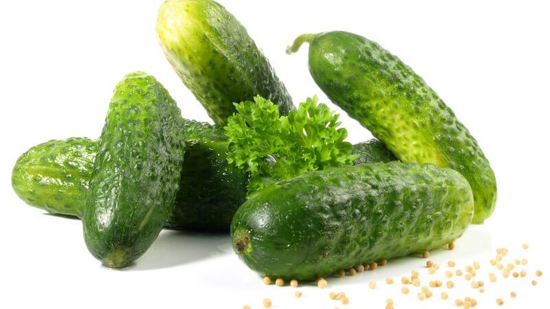 Gewürzgurken mit Senfkörnern vor weißem Hintergrund
