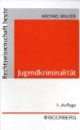 Jugendkriminalität: Eine systematische Darstellung