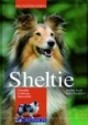 Sheltie: Charakter - Erziehung - Gesundheit
