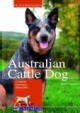 Australian Cattle Dog: Charakter, Erziehung, Gesundheit