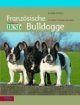 Französische Bulldogge