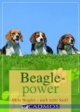 Beaglepower: Mehr Beagles - noch mehr Spaß!