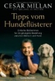 Tipps vom Hundeflüsterer: Einfache Maßnahmen für die gelungene Beziehung zwischen Mensch und Hund