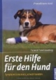 Erste Hilfe für den Hund: Symptome erkennen, schnell handeln