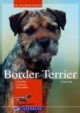 Border Terrier: Charakter, Erziehung, Gesundheit