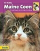 Maine Coon, Ihr Hobby: Ein bede-Ratgeber für die erfolgreiche Haltung