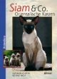 Siam und Co: Orientalische Katzen