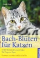 Bach-Blüten für Katzen: Sanfte Medizin für unsere Katze