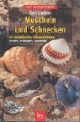 Muscheln und Schnecken