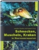 Schnecken, Muscheln, Kraken im Meerwasseraquarium