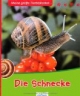 Die Schnecke
