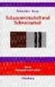 Schattenwirtschaft und Schwarzarbeit